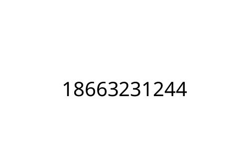 18663231244