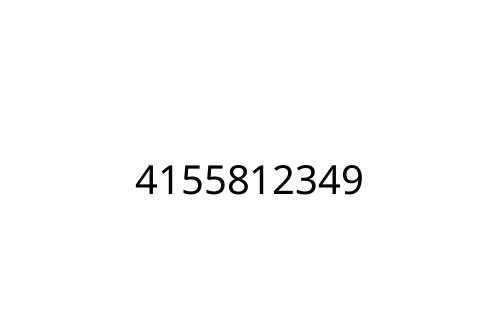 4155812349