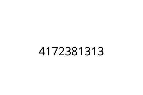 4172381313