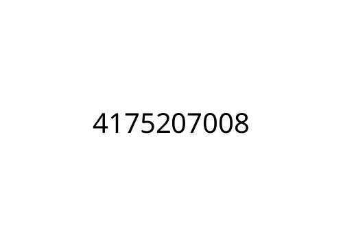 4175207008