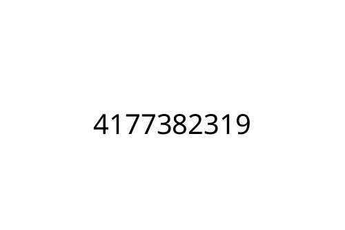 4177382319