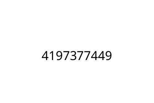 4197377449