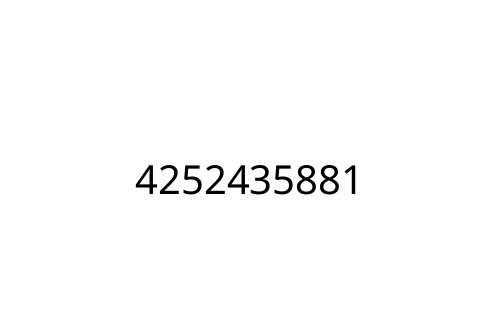 4252435881