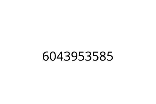 6043953585