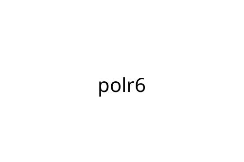 polr6