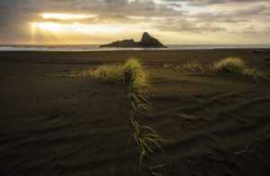 deep primal need for white cheddar