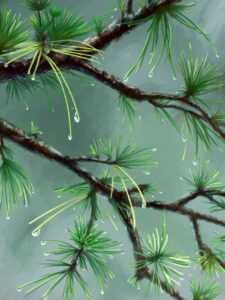 which investment has the least liquidity? propertystocksa savings accounta 401k