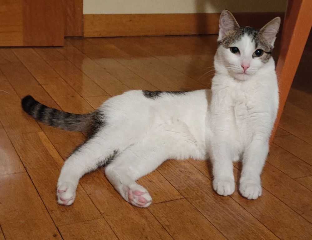 dropbox 8737.idj.029.22