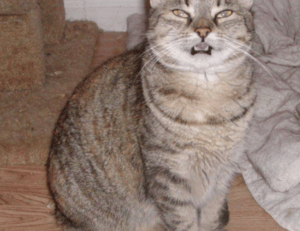 do i have a legal right to take a car back from my ex since it's loaned and titled in my name