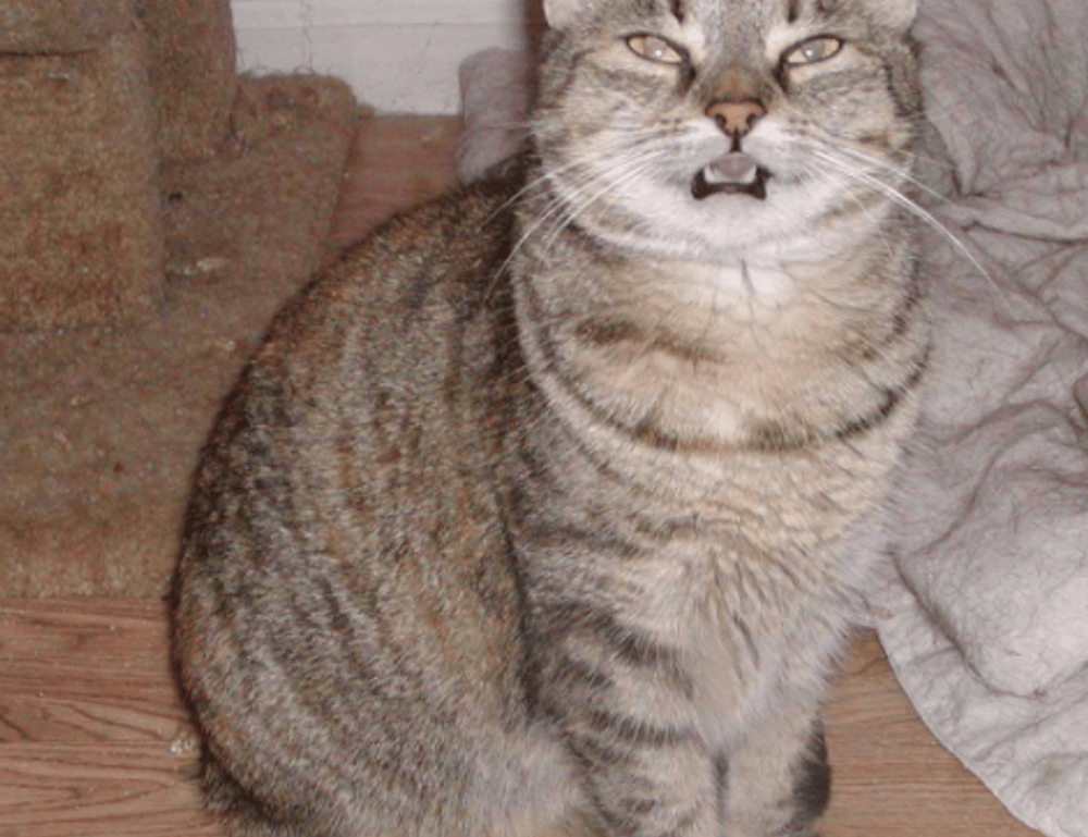 do i have a legal right to take a car back from my ex since it's loaned and titled in my name