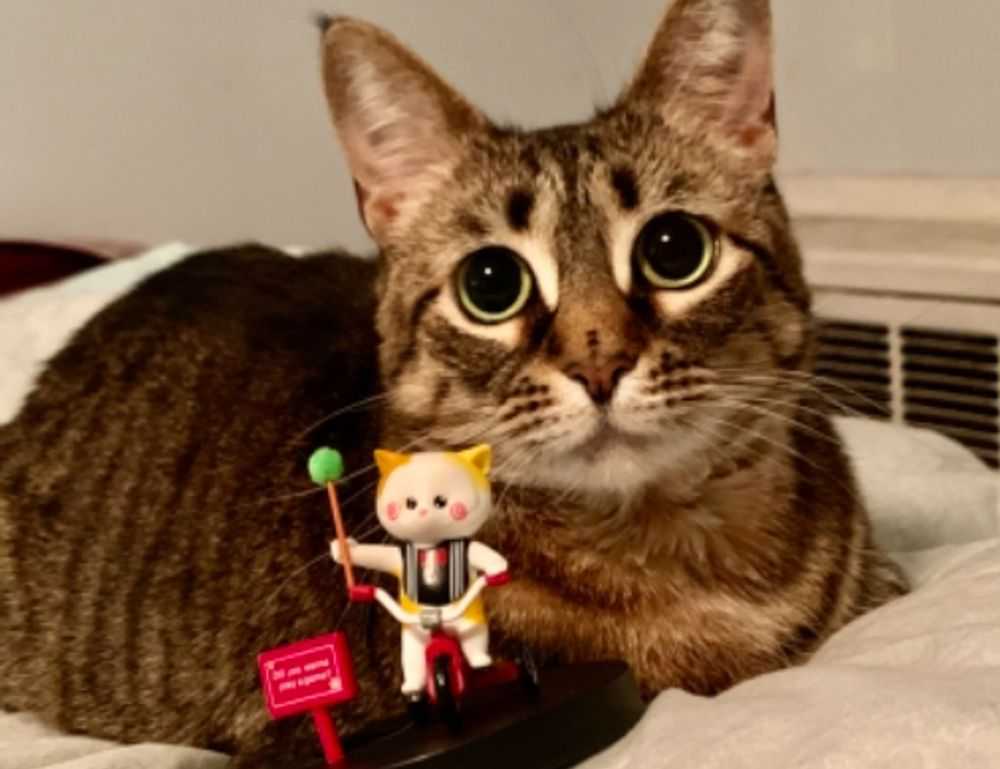 do i have to be 18 to buy a lighter