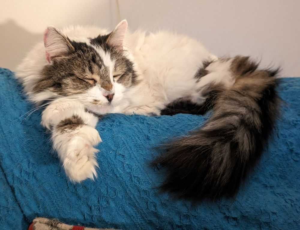 dr brandt speed recovery serum reviews