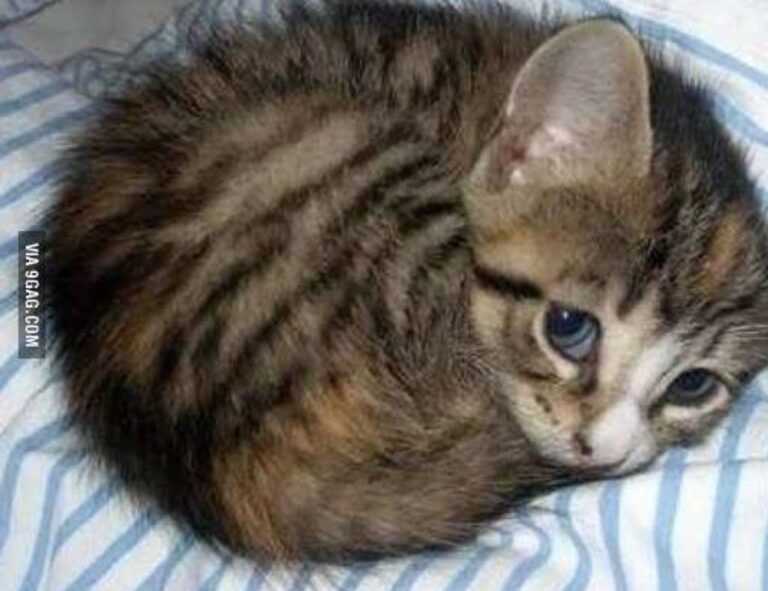 easy hairstyles for 50 year old woman with long hair