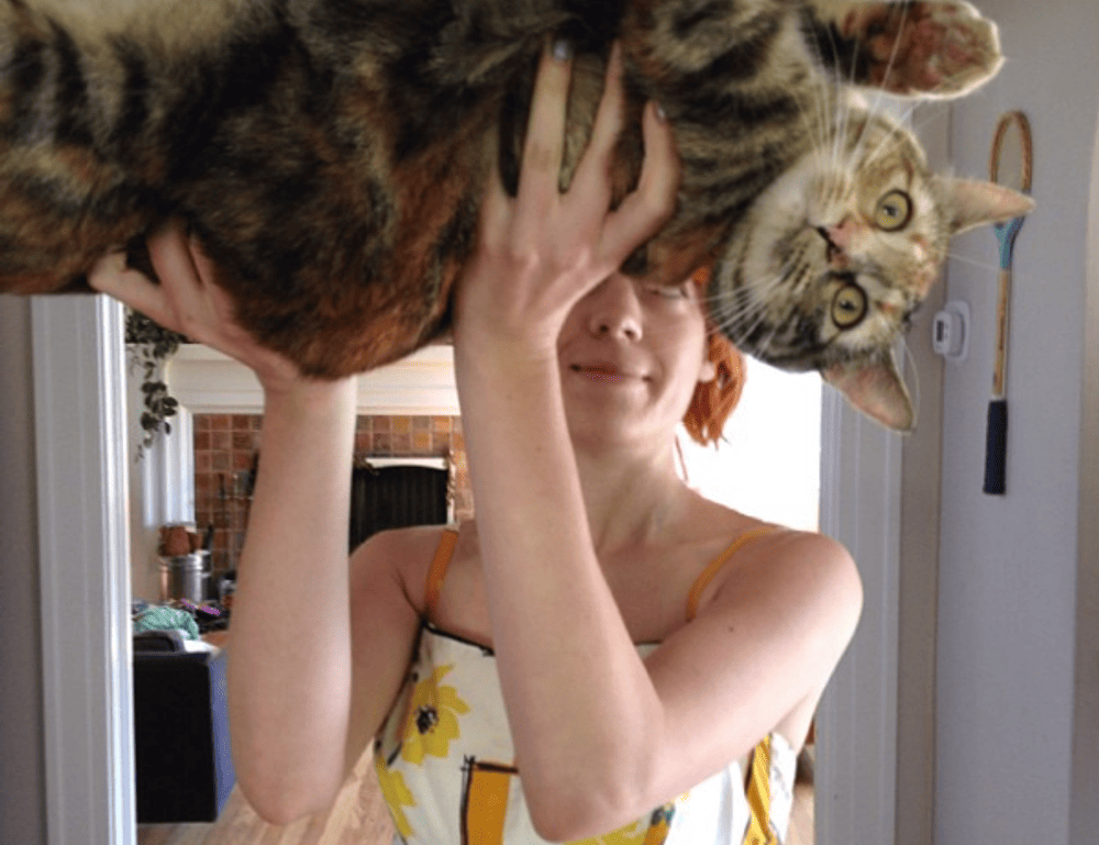 el gordo trae el mando meaning