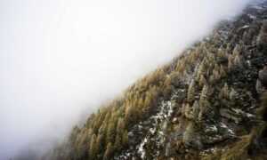 exfoliate before or after washing face