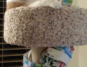 explain the three ways of organizing concepts.