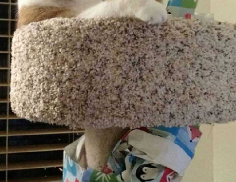 explain the three ways of organizing concepts.