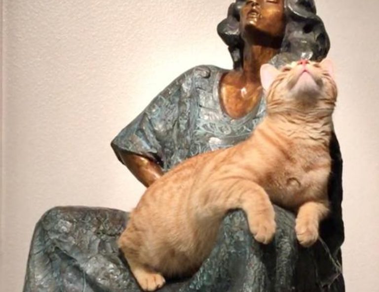 face framing layered fine hair medium length hairstyles