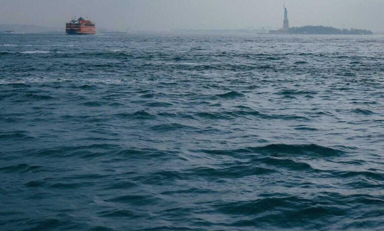 face wash fungal acne treatment at home