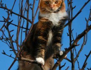 flight time from ohio to florida