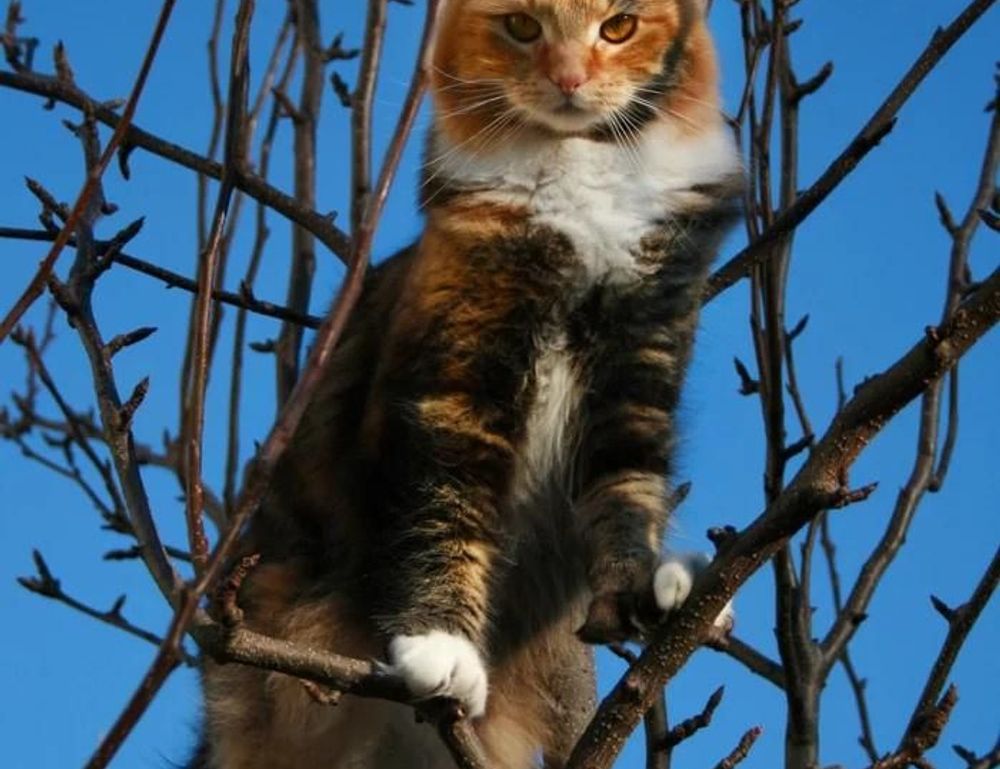 flight time from ohio to florida