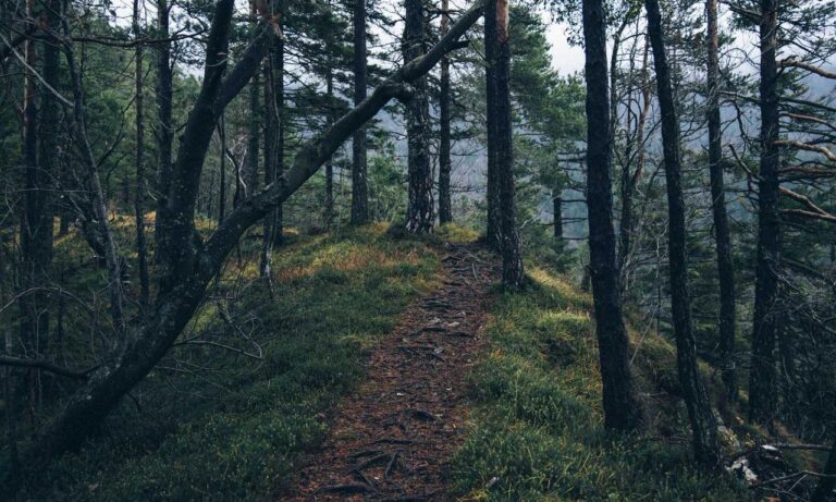 free stuff for toddlers by mail