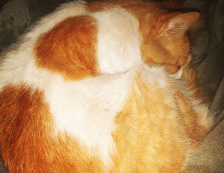 friend hangs out with other friends, but not me