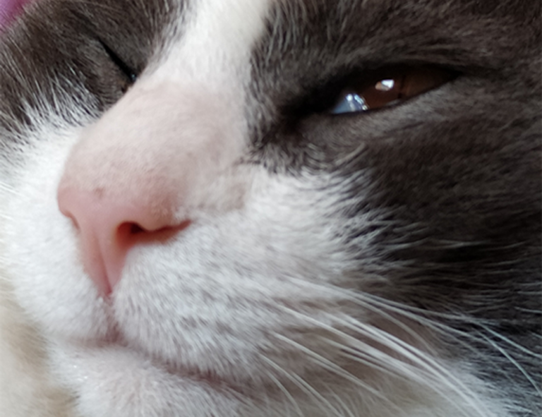 friend hangs out with other friends but not me