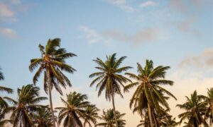 gabriel kuhn and daniel patry crime scene