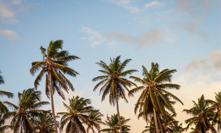 gabriel kuhn and daniel patry crime scene