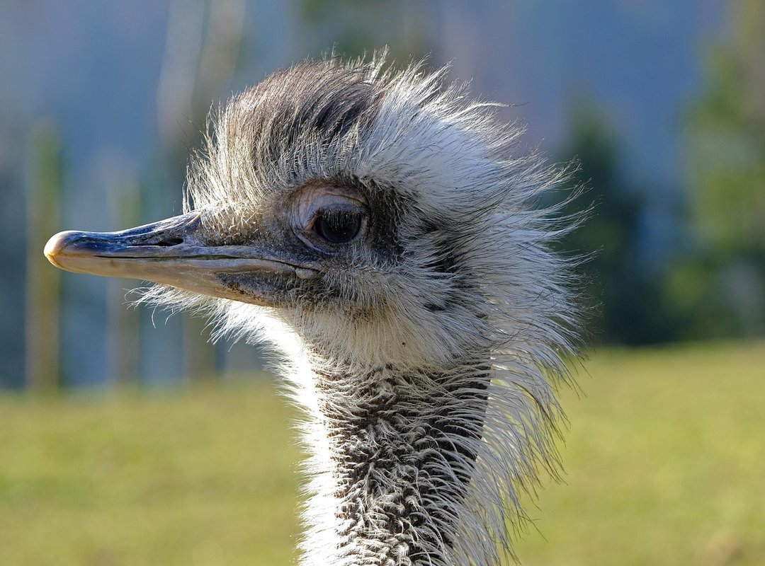 Tech Trends Pboxcomputers