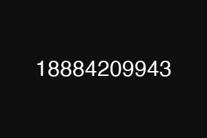 18884209943