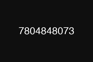 7804848073