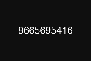 8665695416