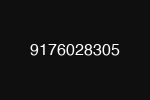 9176028305