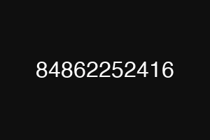 84862252416