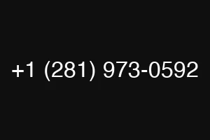 +1 (281) 973-0592