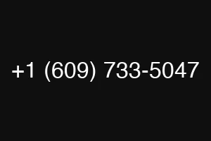 +1 (609) 733-5047
