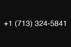 +1 (713) 324-5841
