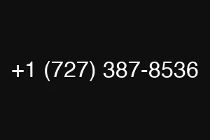 +1 (727) 387-8536