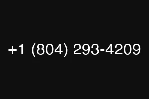 +1 (804) 293-4209