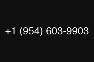 +1 (954) 603-9903