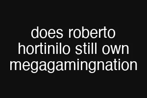 does roberto hortinilo still own megagamingnation